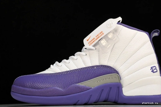 Purple Retro Jordan 12 CT8013-150 CT8013-150 0108